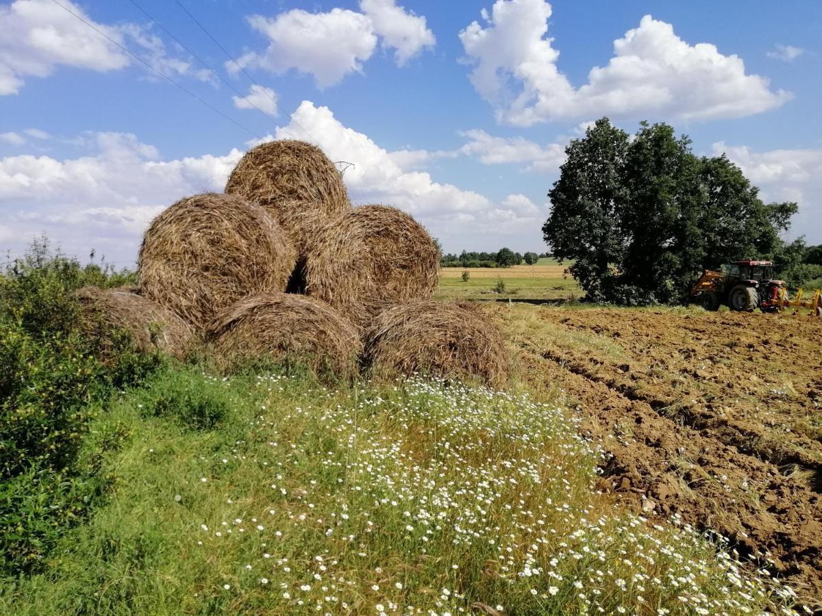 Hotel Rural Lajafriz Fornillos de Aliste 외부 사진